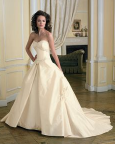 removable skirt gown